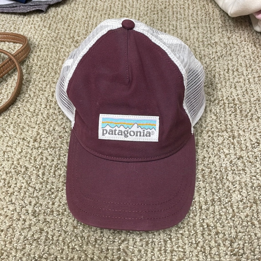 Patagonia baseball hat